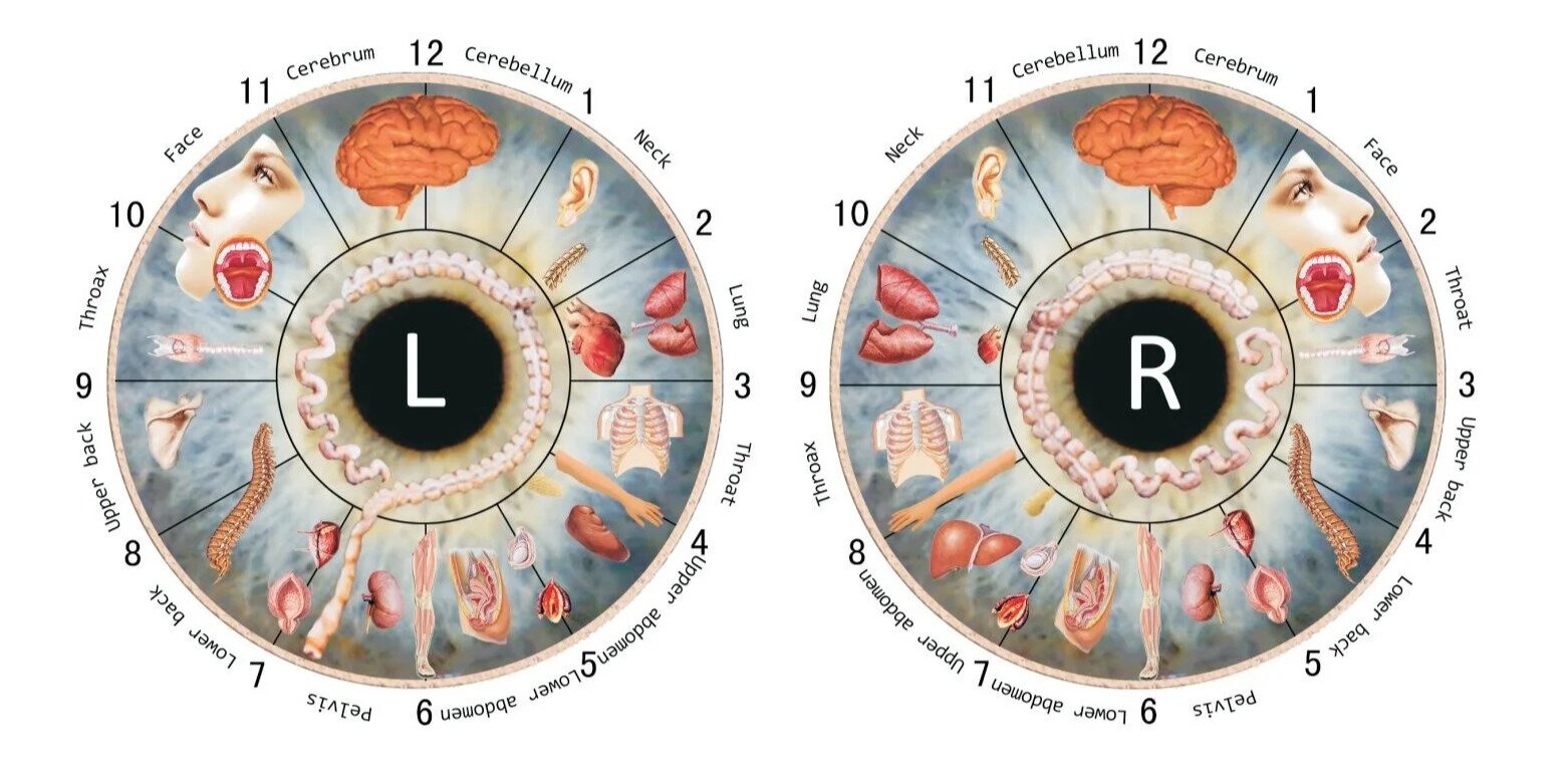 75d34836-0b77-4f37-a28c-cbb308ac5800