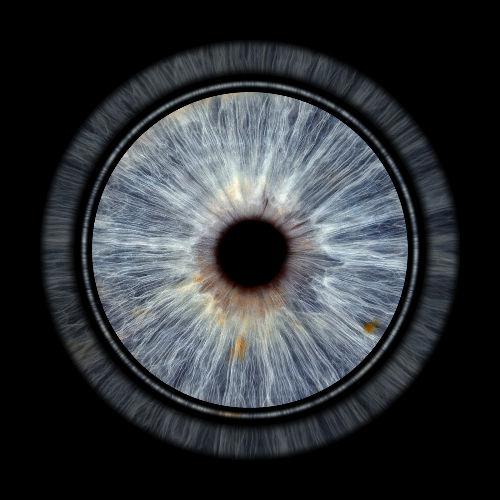 Ring_Mantas_julija_29-01-2026_2484_original_size_4961x4961