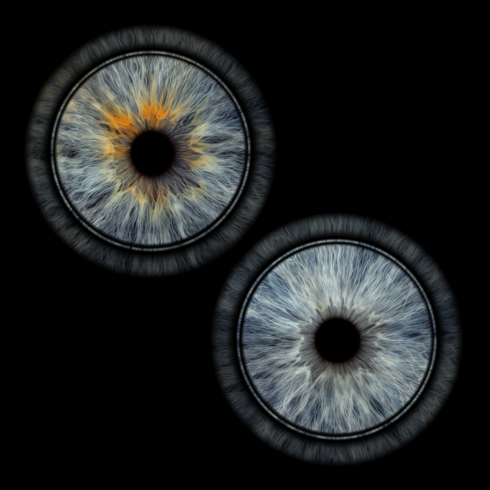 Rings_2_Adomas_29-01-2026_2485_original_size_4961x4961