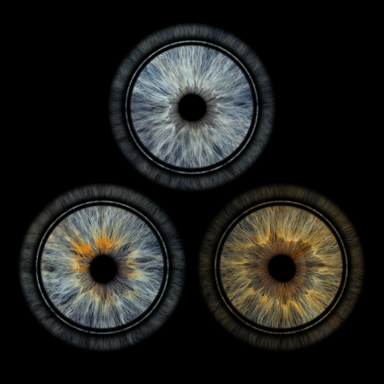 Rings_3_stacked_Ri_ardas_ir_Vitalija_29-01-2026_2486_original_size_4961x4961