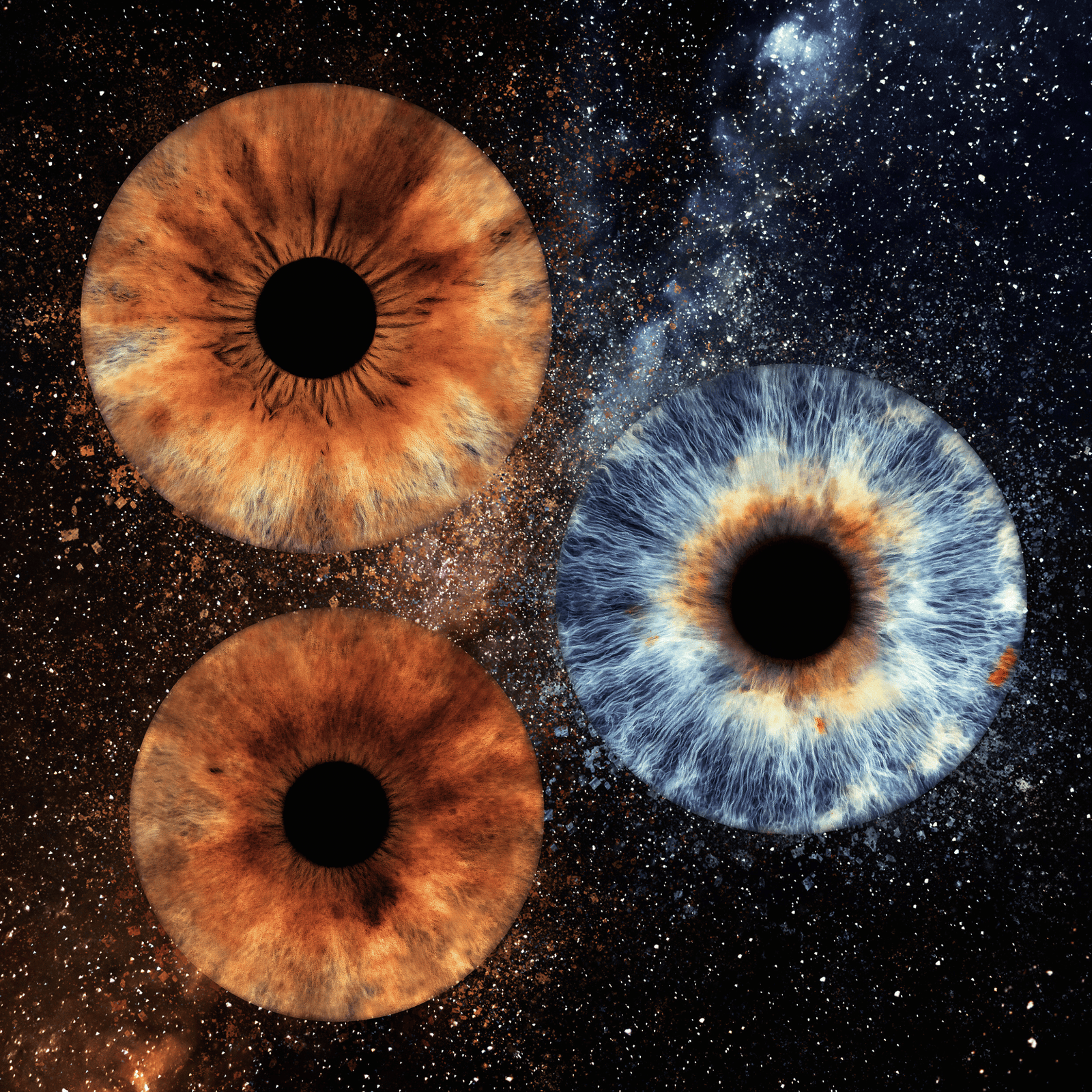 Dizainas be pavadinimo-2