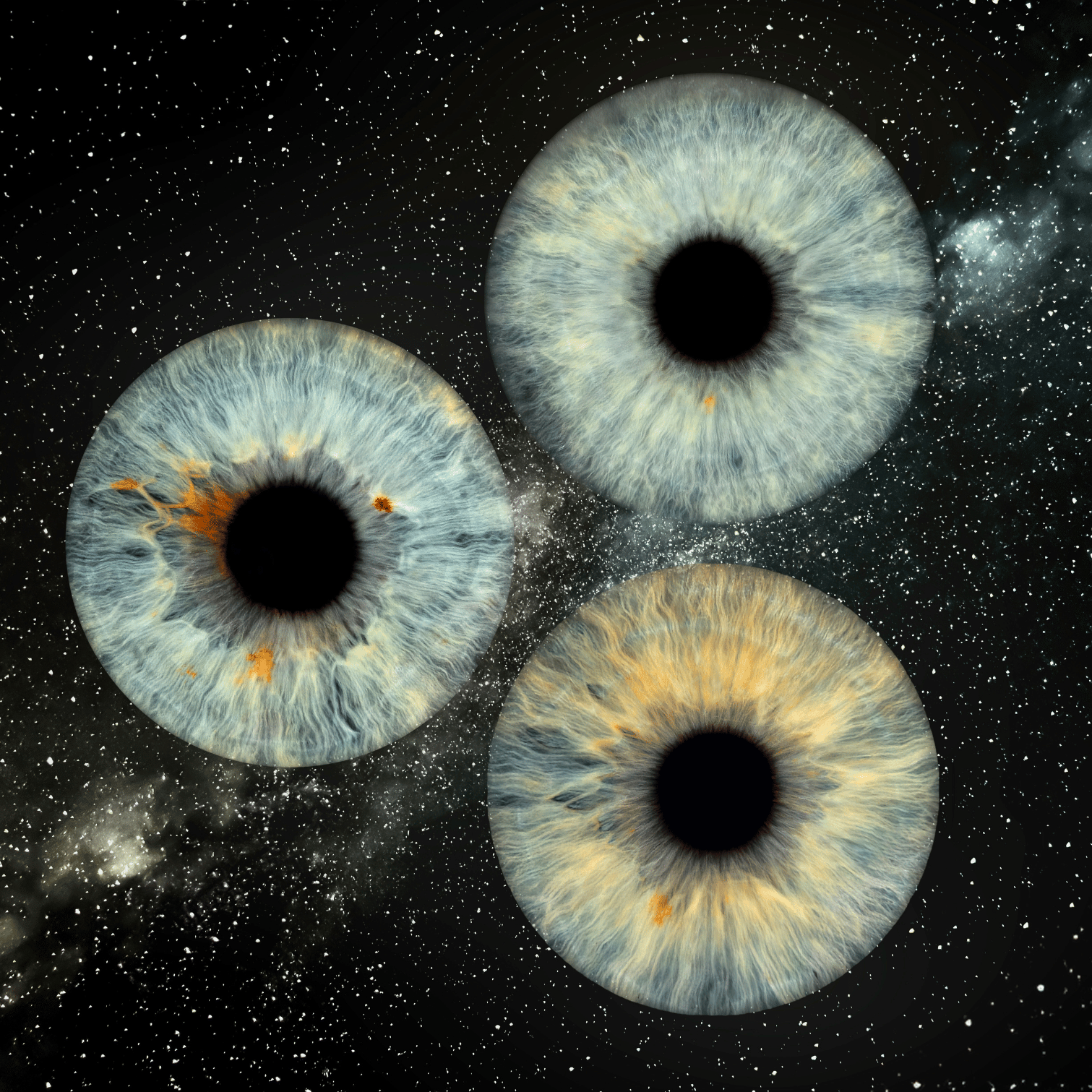 Dizainas be pavadinimo-3