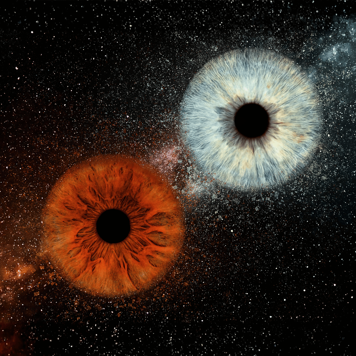 Dizainas be pavadinimo-5